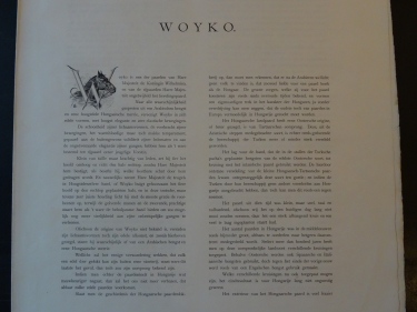 Woyko